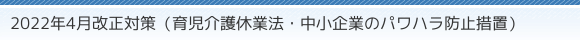 2022N4΍i玙xƖ@EƂ̃pnh~[uj
